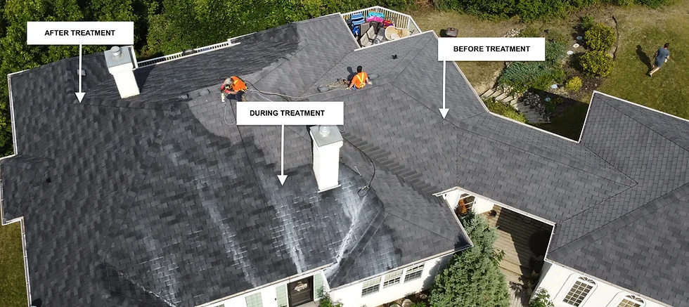 Before, during and after Roof Renewal treatment on asphalt shingles